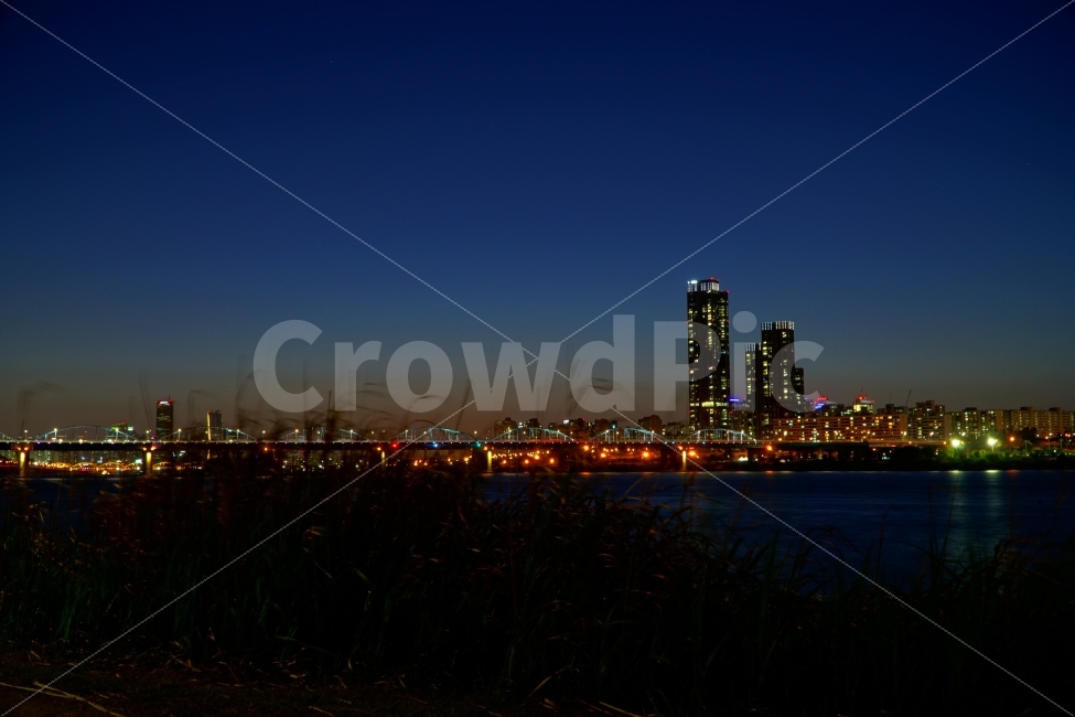 야경,한강,갈대,다리,건물,도시,풍경,city,landscape,야경,밤,nightscape,night
