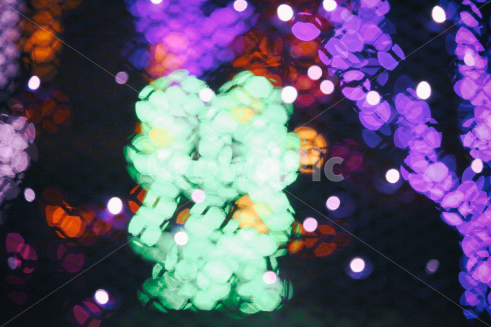 빛,빛축제,축제,야경,빛망울,풍경,도시,도심,light,festival,lightfestival,night,nightphotogrpahy,밤,저녁,city,urban,보케,landscape,야경,밤,풍경,nightscape,night,landscape,축제,행사,festival,carnival,event,lighting,조명