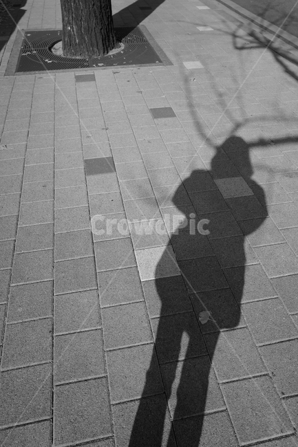 그림자,흑백,자화상,모노크롬,길,나무,blackandwhite,shadow,사람,인물,인간,human,person,인물실루엣,사람실루엣,character silhouette,human silhouette,path,통로,pedestrian,보행자