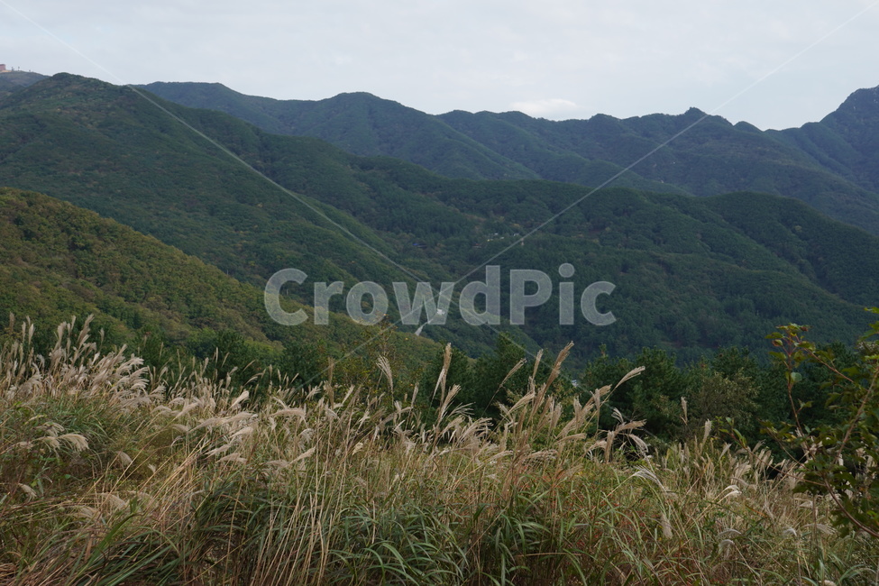 풍경,하늘,구름,자연,nature,cloud,자연,풍경,nature,landscape,plant,식물,grass,잔디,outdoors,옥외