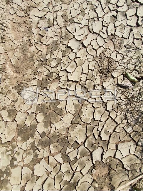 soil,흙,ground,가뭄,drought,물부족
