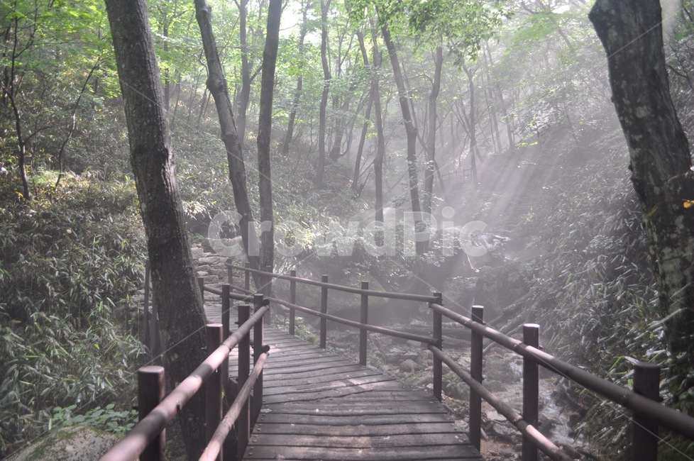 속리산,산책,휴양,힐링,산,자연,풍경,nature,landscape,handrail,난간,banister,building,건물,bridge,다리,boardwalk,산책로,railing