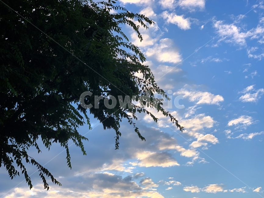 하늘,자연,맑은하늘,감성,풍경,skyview,nature,감성사진