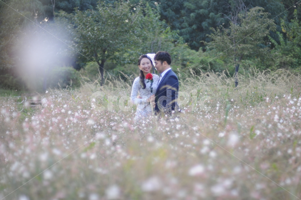 인물,연인,커플,감성,사랑,행복,couple,love,hapiness,park,olympicpark,올림픽공원,함께,lover,rose,장미꽃,갈대밭,고백,confess,혼례,wedding,marriage,person,nature,사람,자연,나무,tree,outdoors,들,field,사람,인물,인간,human,person,연인,커플,사랑,lover,couple,결혼,혼례,웨딩,wedding,marriage,marry