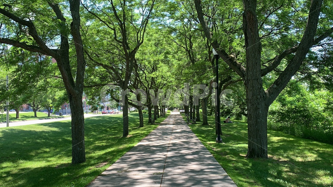 vermont,burlington,버몬트,벌링턴,waterfrontpark,가로수길