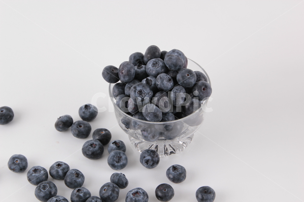 blueberry,과일,음식,fruit,블루베리,과일,열매,fruit