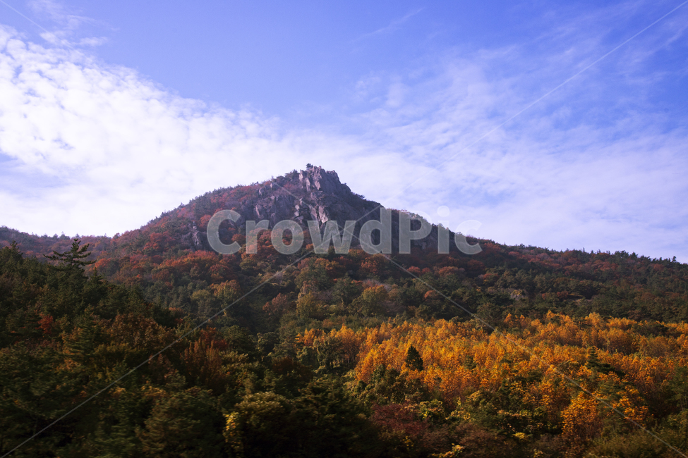 자연,배경,산,바위,기암,괴석,돌,가을,단풍,나무,풍경,스카이,하늘,구름,푸른하늘,소나무,산봉우리,가을,계절,fall,autumn,season,자연,풍경,nature,landscape,한국자연풍경,한국자연경관,korea nature landscape,outdoors,옥외
