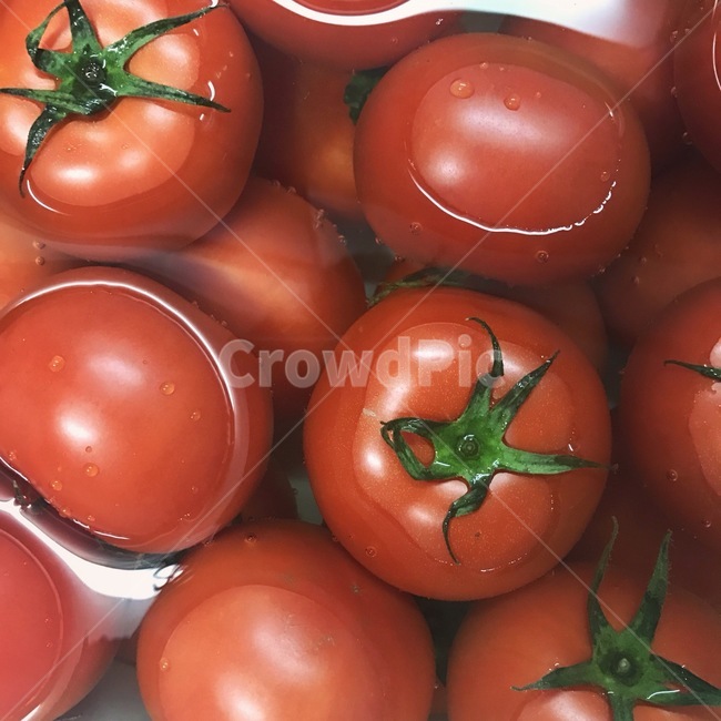 plant,식물,토마토,야채,과일,채소,음식,식재료,요리,food,cook,meal,dishes,food reserves