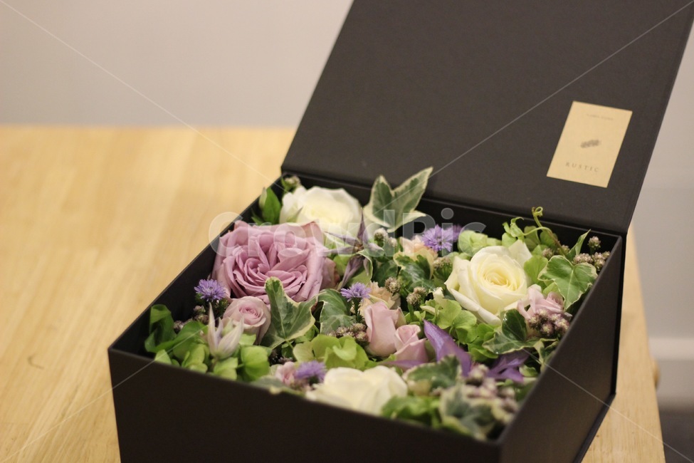 plant,식물,꽃,flower,꽃꽂이