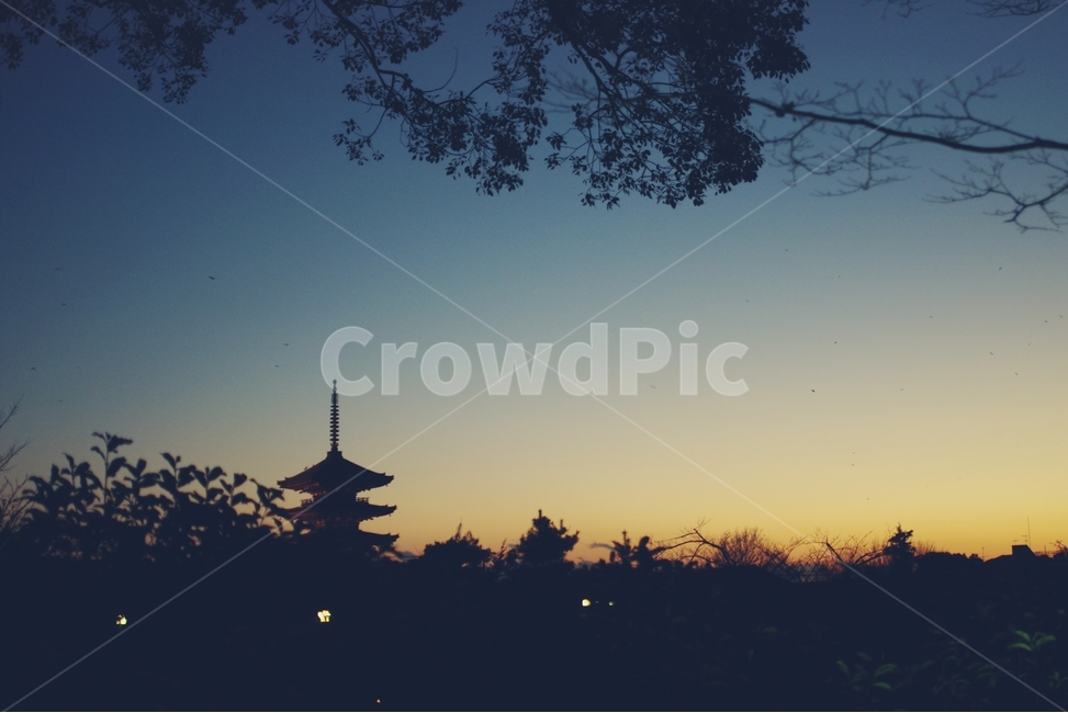 일본,교토,japan,kyoto,석양,일몰,sunset,탑,전통,traditional,도시,풍경,city,landscape,해외,외국,세계,foreign,oversea,world,세계도시풍경,해외도시풍경,외국도시풍경,world cityscape,실루엣,그림자,silhouette,shadow,감성,sensible,feeling,building,건물,architecture,건축물
