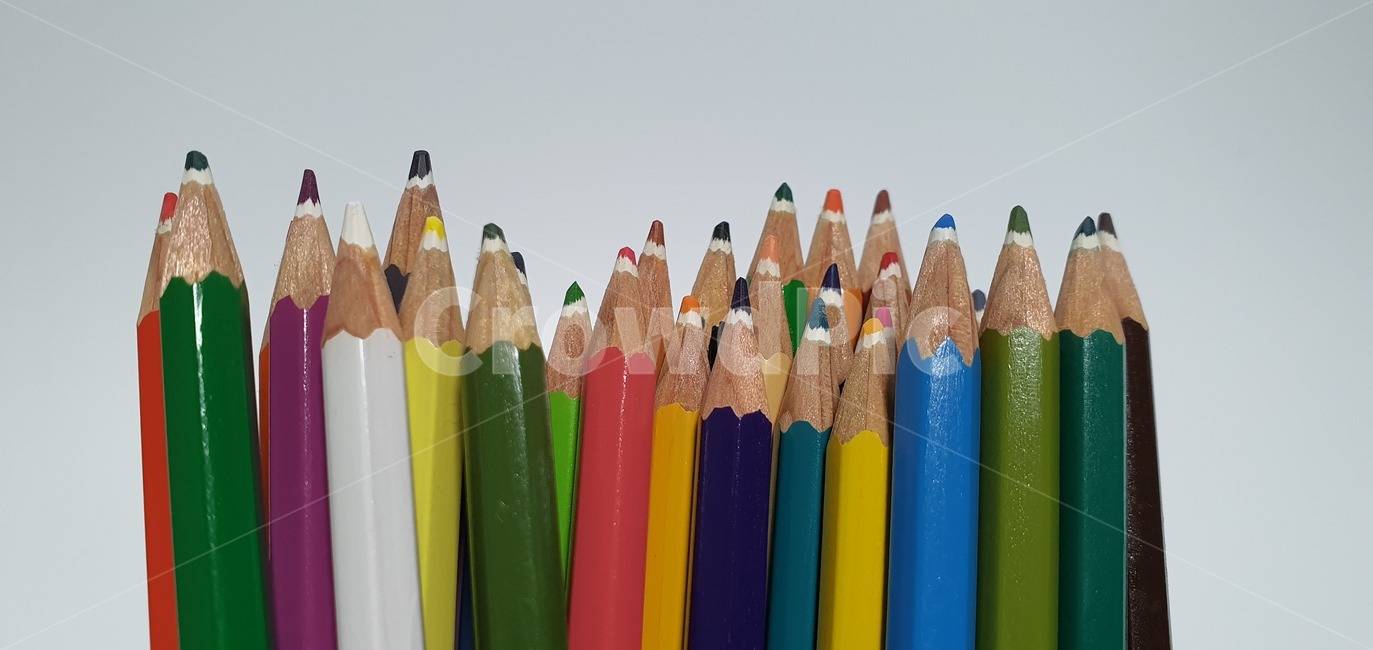 색연필,연필,컬러,색상,화려,나무,색칠,education,pencil,art,wood,color,colorful,school,isolated,equipment,white,drawing,design,draw,green,paint,object,wooden,blue,colour,rainbow,sharp,office,red,yellow,orange,spectrum,학용품,문구류,사무용품,school supplies,stationery,office supplies