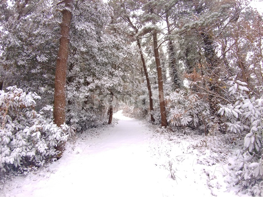 눈,겨울,풍경,감성,제주,제주풍경,하늘,구름,자연,바다,파도,겨울,계절,winter,season,자연,풍경,nature,landscape,outdoors,옥외,plant,식물,vegetation,초목