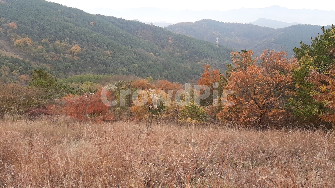 nature,자연,단풍,가을,산,가을,계절,fall,autumn,season,자연,풍경,nature,landscape