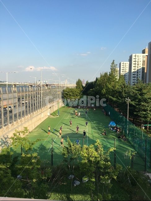 공원,축구,운동,숲,아파트,맑음,하늘,구름