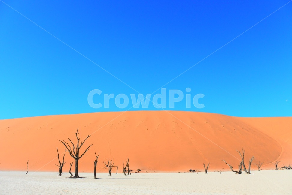 soil,흙,sand,모래,nature,자연,outdoors,옥외,dune,모래언덕,사막,desert,세계자연풍경,해외자연풍경,외국자연풍경,world nature landscape