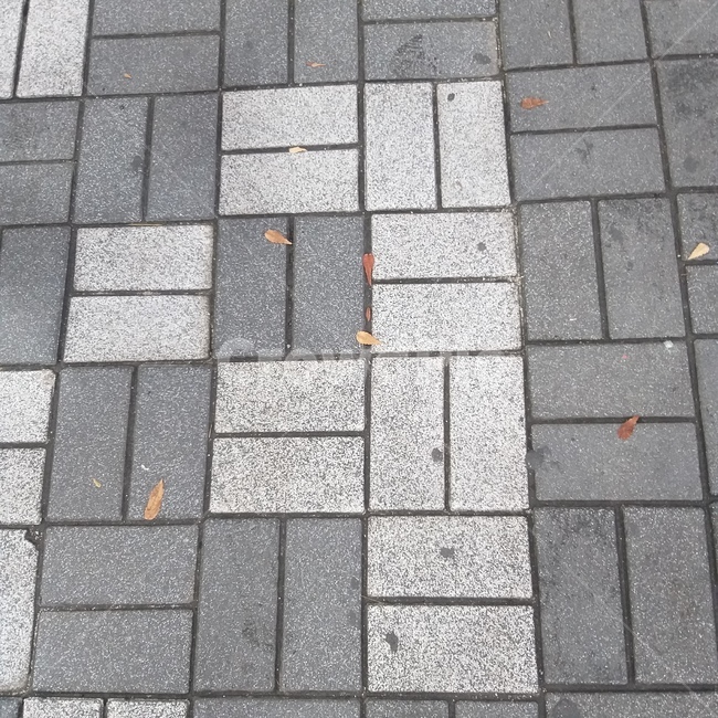 회색,보도블럭,길거리,바닥,감성사진,길바닥