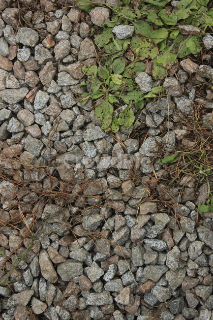 자갈,질감,바닥,잡초,gravel,돌멩이,풀,자연,nature,가을,autumn,fall,ground,땅
