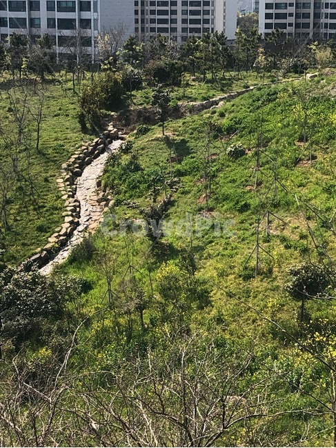 시냇물,숲,풀잎,나무,꽃,연못,자연,풍경,nature,landscape,outdoors,옥외