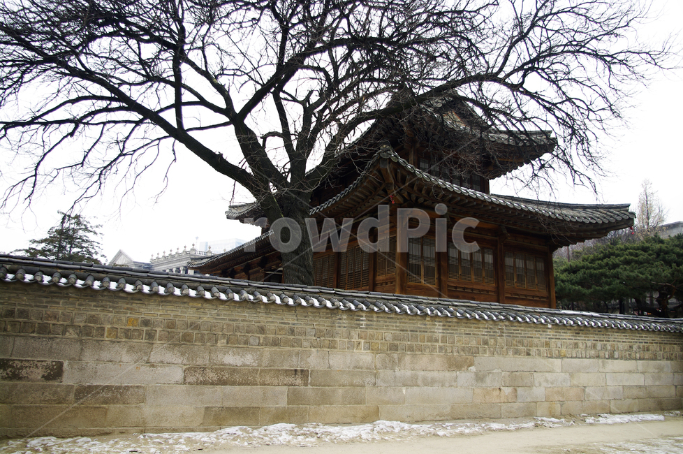 석어당,덕수궁,고궁,건축,전통건축,traditional,전통,기와지붕,담장,겨울,winter,한국전통,한국문화,korean traditional,korean culture,랜드마크,landmark,tourist attraction,한국랜드마크,한국관광지,한국명소,korea landmark,korea tourist attraction