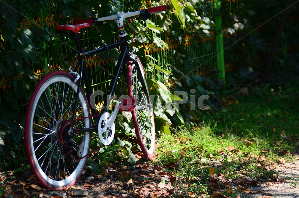 wheel,machine,기계,bike,bicycle,교통,transportation,자전거,vehicle,차량,바퀴,폐달,자연광,사광,역광,핸들,잔디,초록,주인,없는,잠시,휴식,쉼,고즈넉