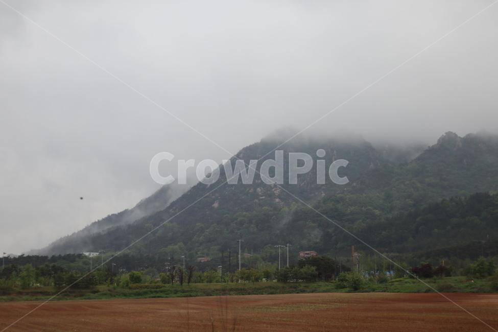 용봉산,구름,비,나무,봄,흐림,자연,풍경,nature,landscape,한국자연풍경,한국자연경관,korea nature landscape,outdoors,옥외,weather,날씨