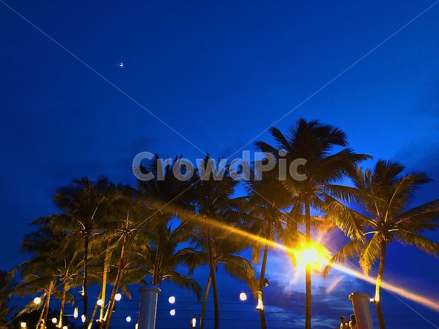 코타키나발루,말레이시아,야자수,야경,밤하늘,저녁,밤,하늘,evening,night,nightview,malaysia,kotakinabalu