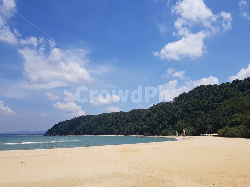 해변,바다,하늘,구름,푸른,숲,파란,여름,휴양지,모래사장