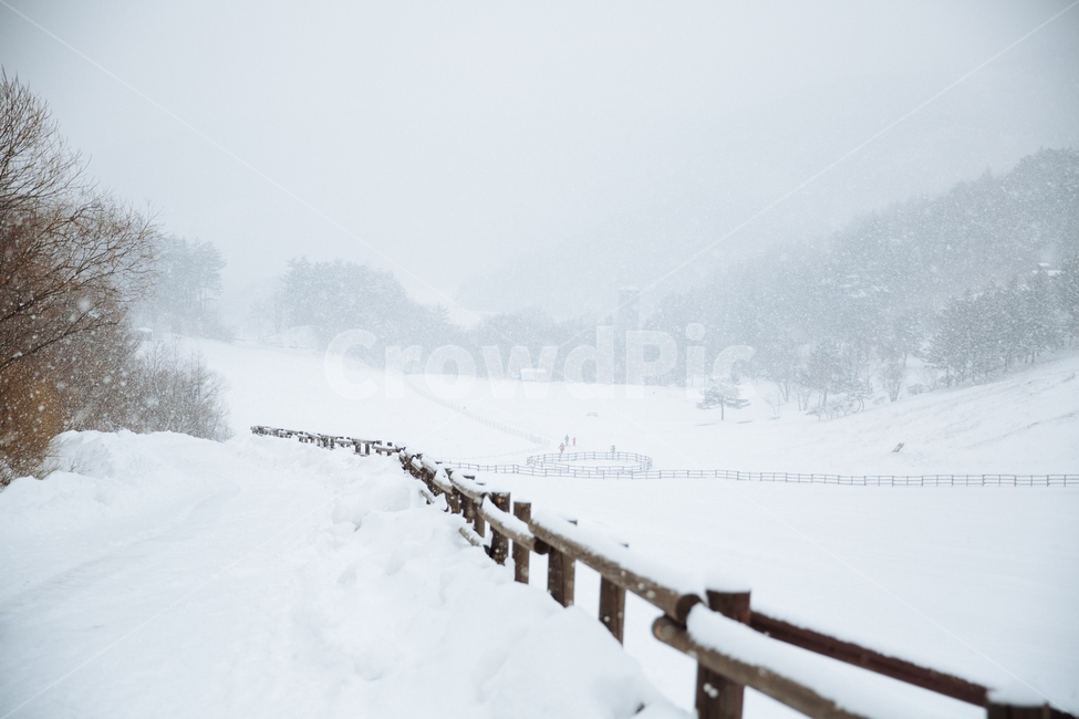 겨울,눈,풍경,감성,스냅,겨울,계절,winter,season,자연,풍경,nature,landscape,outdoors,옥외,snow,storm,폭풍,blizzard,눈보라