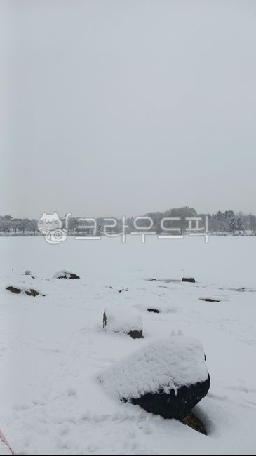 눈,설경,겨울,얼음,겨울풍경,함박눈,snow,snowscape,winter,ice,호수,일산호수공원,자연,옥외,눈보라,nature,outdoor,blizzard