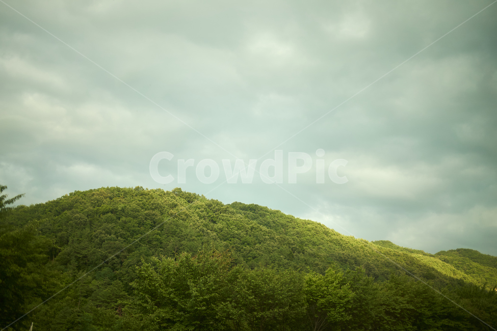 오후,산,녹색,하늘,배경,숲,mountain,sky,자연,풍경,nature,landscape,outdoors,옥외,grassland,목초지,field,들