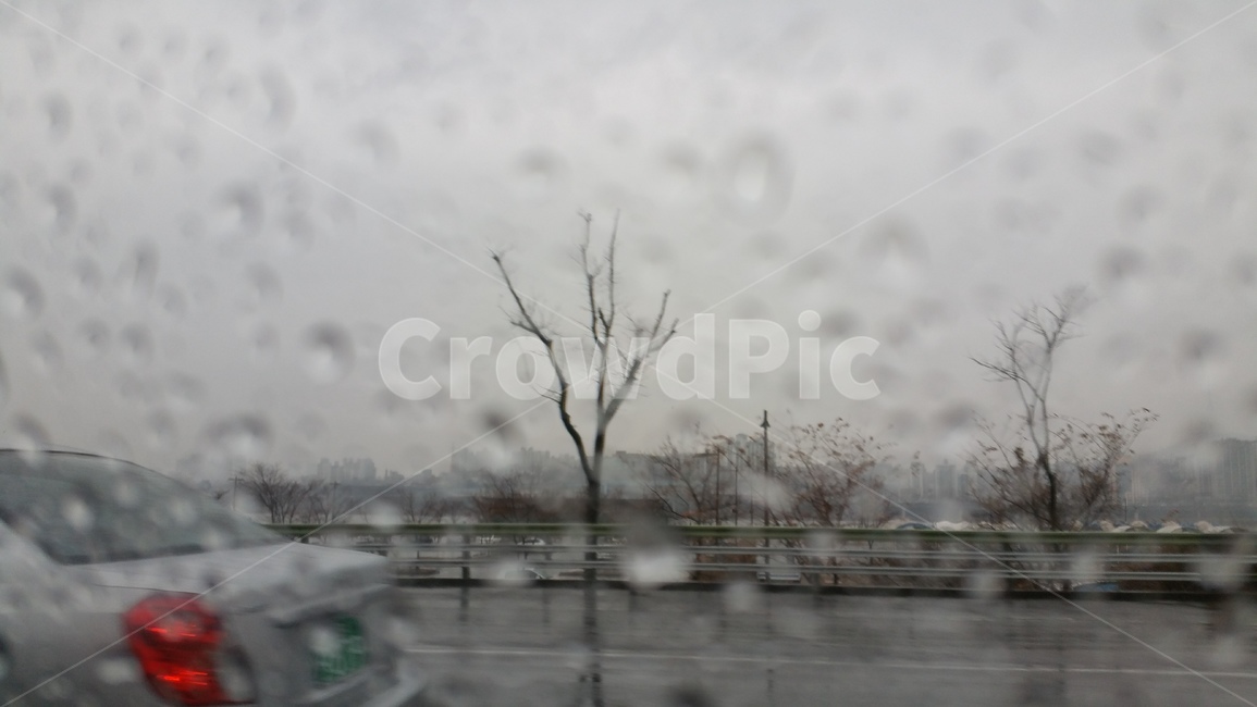 비,rain,겨울비,빗방울,비오는날,창가,나무,tree,감성사진,자동차,도로,난간,자연,nature,날씨,weather,감성,센치,비,비오는날,rain,rainy