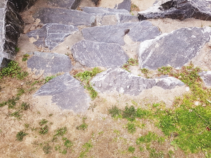 봄,산책,풀,산책로,돌계단,4월