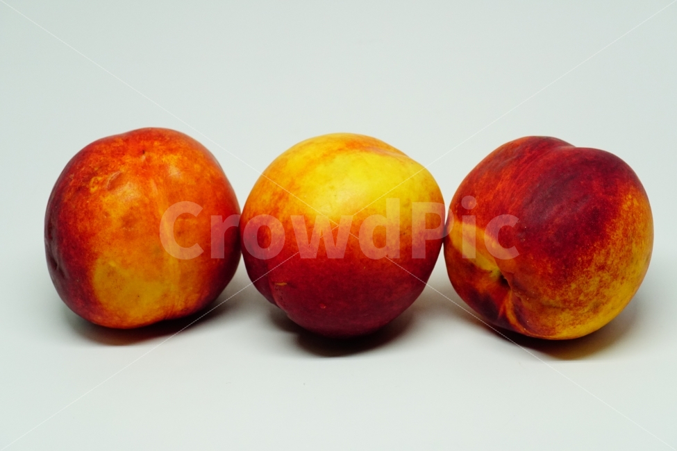 누끼,누끼사진,과일,복숭아,fruit,식물성,사물,object,음식,열매,야채,채소,디저트,cook,food,meal,간식,비타민,맛있는,맛있다,신선한,신선함,신선하다,신선,식자재,결실,싱싱한,싱싱하다,싱싱함,농산물,농작물,dessert,vegetable,과실,peach,오브젝트,음식,식재료,요리,food,cook,meal,dishes,food reserves,과일,열매,fruit,누끼,remove background