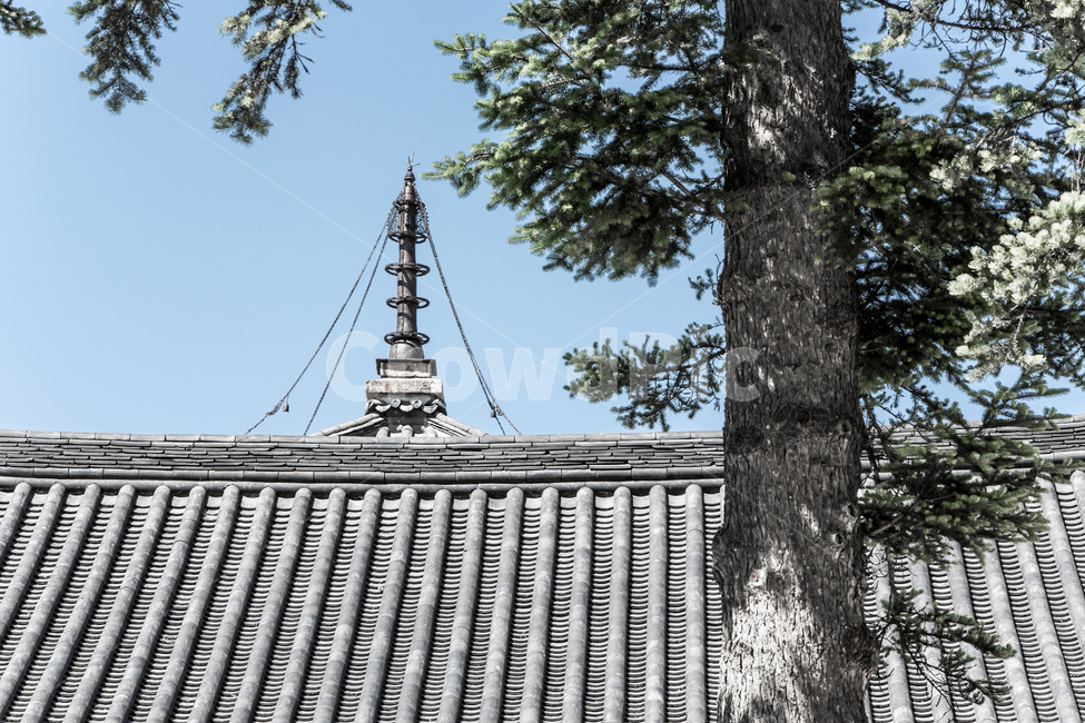 기와,탑,문화유산,사찰,법주사,선,패턴,전통,한국전통,한국문화,korean traditional,korean culture,종교,신앙,religion,belief,faith,건축물,건물외관,exterior,building,structure,architecture,construction