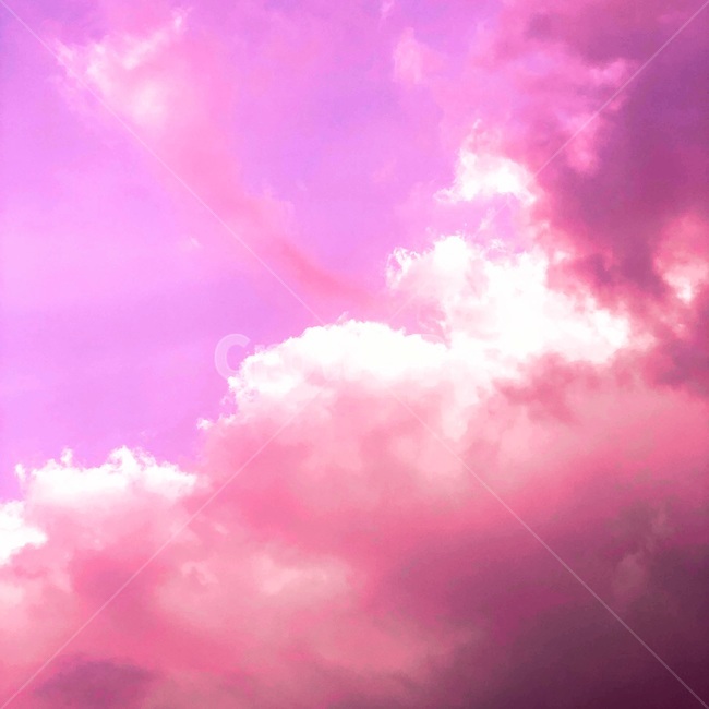 nature,자연,outdoors,옥외,weather