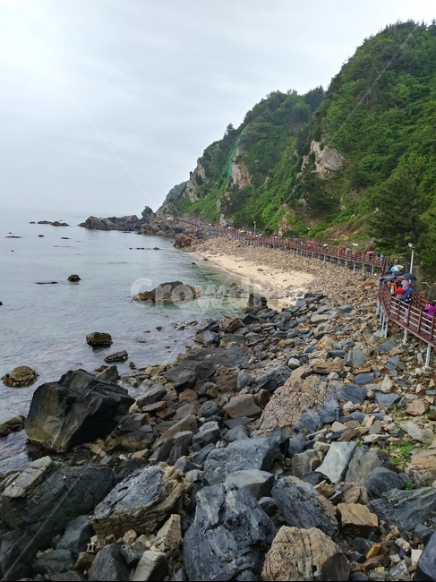 부채바위,부채길,정동진부채바위,강릉부채바위,부채바위해안가,해안가길,바다,sea