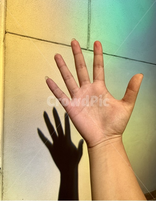 손,손바닥,무지개,손그림자,hand