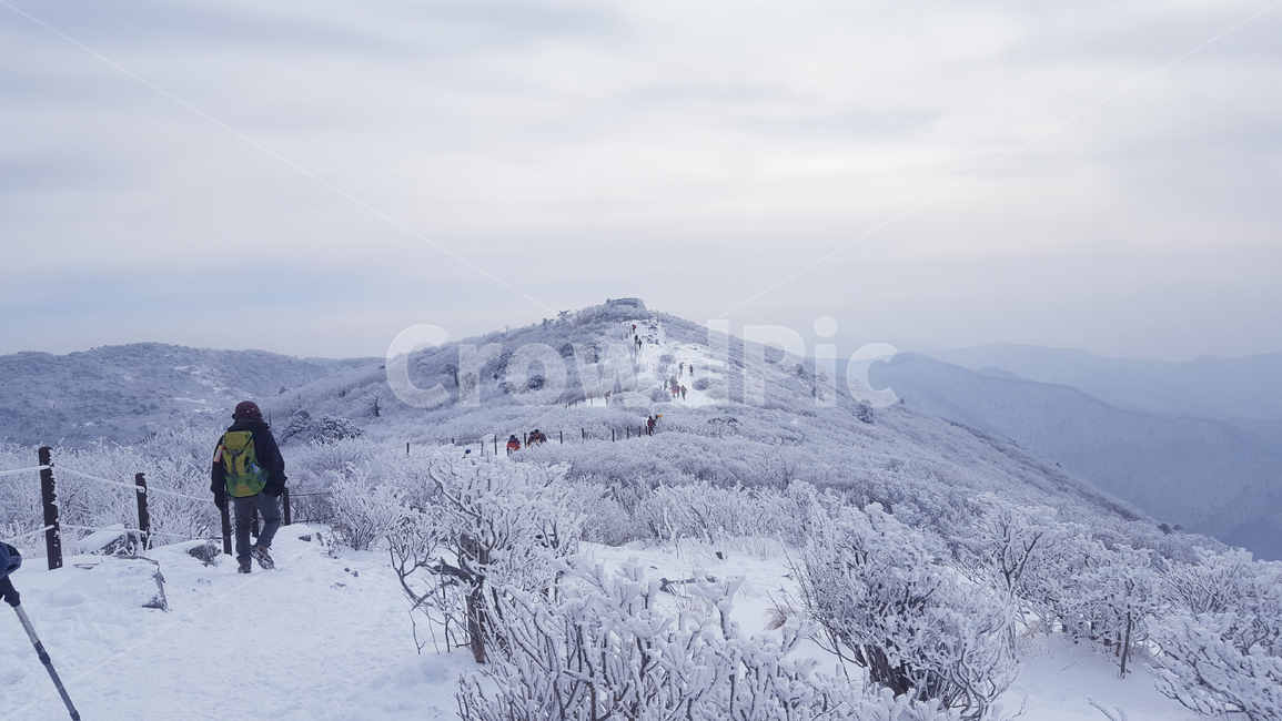 백두대간,강원도,폭설,태백산맥,눈밭,하이킹,snow,nature,산맥,등산,강원도등산