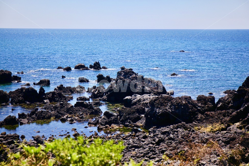 바다,풍경,제주,하늘,제주도