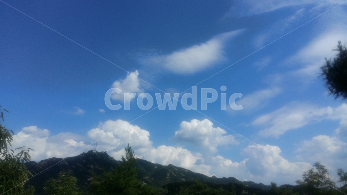 구름,소나무,관악산,삼성산,하늘