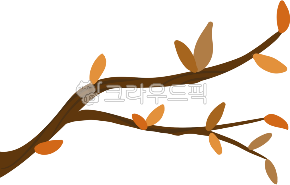 tree,autumn,autumn tree,maple,maple tree,maple leaf,leaf,fallen leaves,tree branch,autumn tree branch