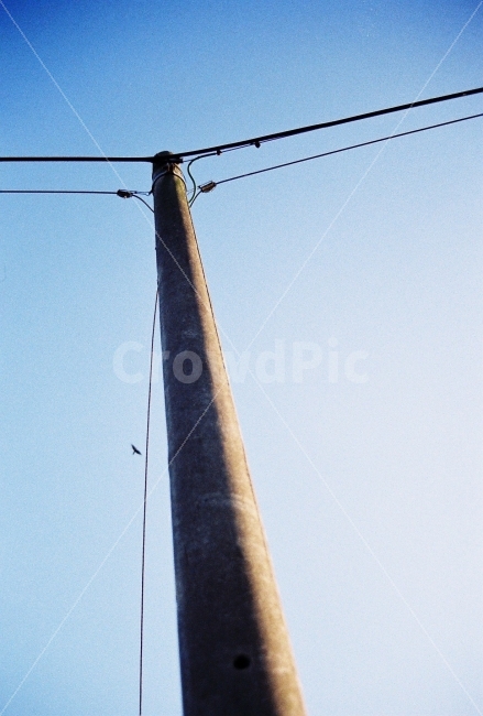 하늘,가을하늘,전봇대,새,필름카메라,산업,industry,industrial,에너지산업,energy industry