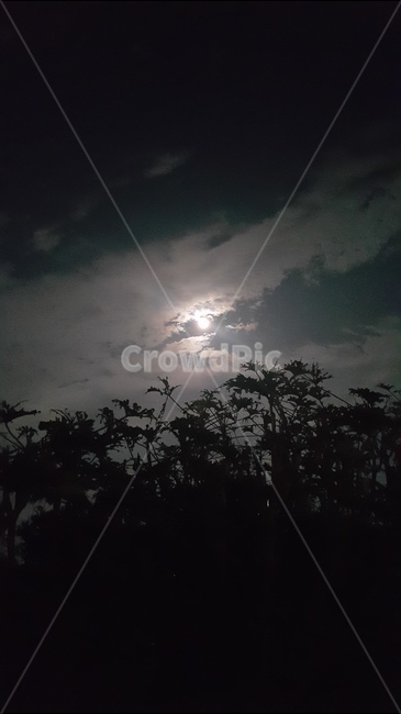 달빛,구름,분위기,보름달,밤,제주도의밤,제주,제주도,자연,풍경,nature,landscape,weather,날씨,outdoors,옥외