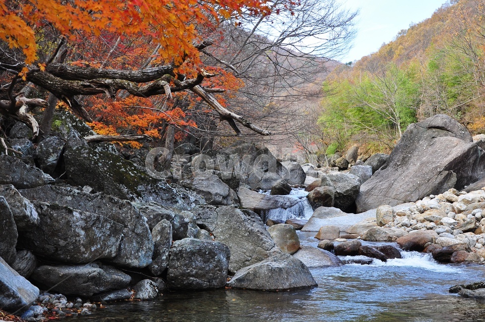 구례,피아골,피아골계곡,단풍,폭포,leaf,잎,plant,식물,tree,나무,maple,water,물,scenery,풍경,outdoors,옥외,nature,자연,landscape,경치,가을,계절,fall,autumn,season,자연,풍경,nature,landscape