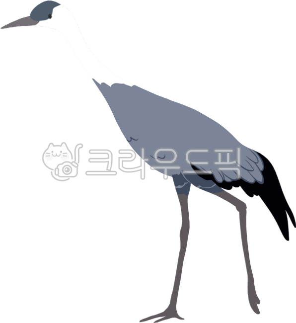 흑두루미,철새,흑두루미일러,습지동물,철새일러스트,습지동물일러스트,검은새,큰새,습지의날,철새요소,습지동물요소,흑두루미요소,두루미요소,두루미그림,두루미일러스트,흑두루미일러스트