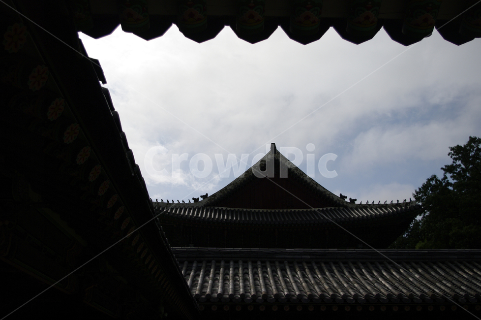창덕궁,고궁,한옥,전통가옥,기와지붕,건축,traditional,하늘,한국전통,한국문화,korean traditional,korean culture,건축물,건물외관,exterior,building,structure,architecture,construction