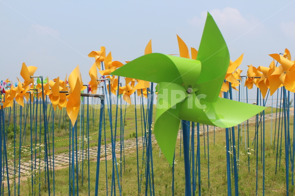 바람개비,임진각,바람의언덕,바람개비동산,노란색,노랑색