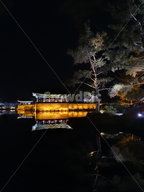 동궁과월지,안압지,경주,야경명소,안압지야경,동궁과월지야경,야경안압지,야경동궁과월지,건축물,신라유적,경주야경,야경경주,야경,밤,풍경,nightscape,night,landscape