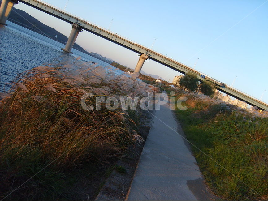 가을,강변,강,한강,물,도시,풍경,city,landscape,한국도시풍경,한국도시경관,korea cityscape,road,도로,building,건물,bridge,다리