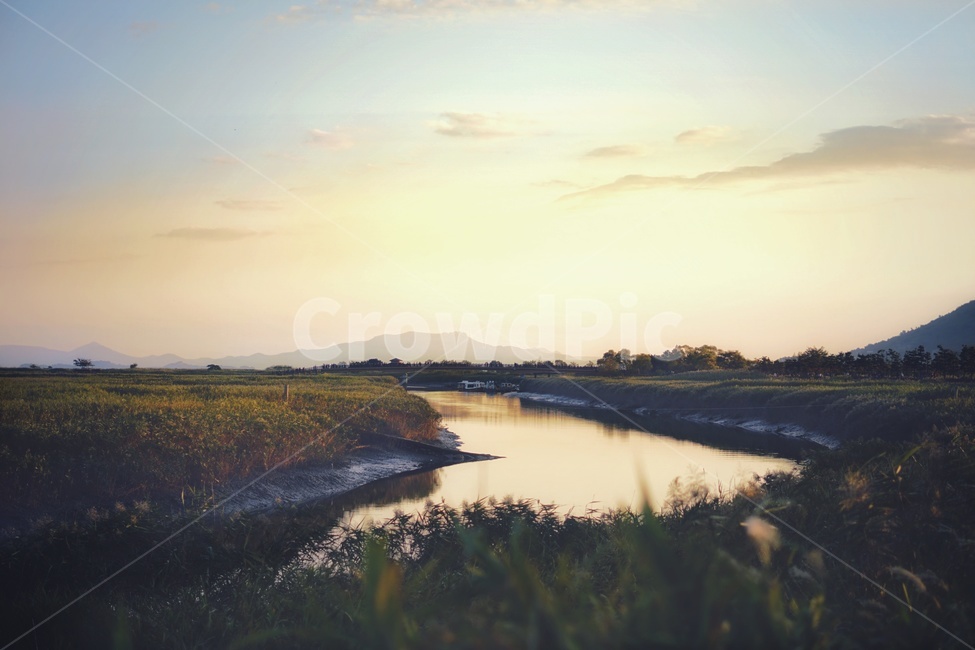 갈대,습지,일몰,순천만,하늘,반영,풍경,자연,한국자연,landscape,한국풍경,nature,sunset,twilight,자연,풍경,nature,landscape,한국자연풍경,한국자연경관,korea nature landscape,감성,sensible,feeling,outdoors,옥외,land,땅,water,물,ditch,도랑